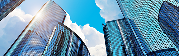 1507962688788815.png 1.png